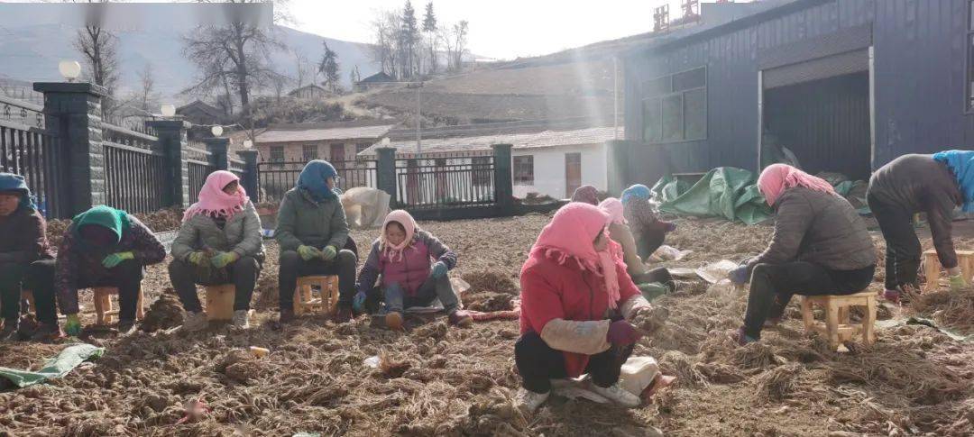 走四方破解版苹果版地铁跑酷破解版苹果版