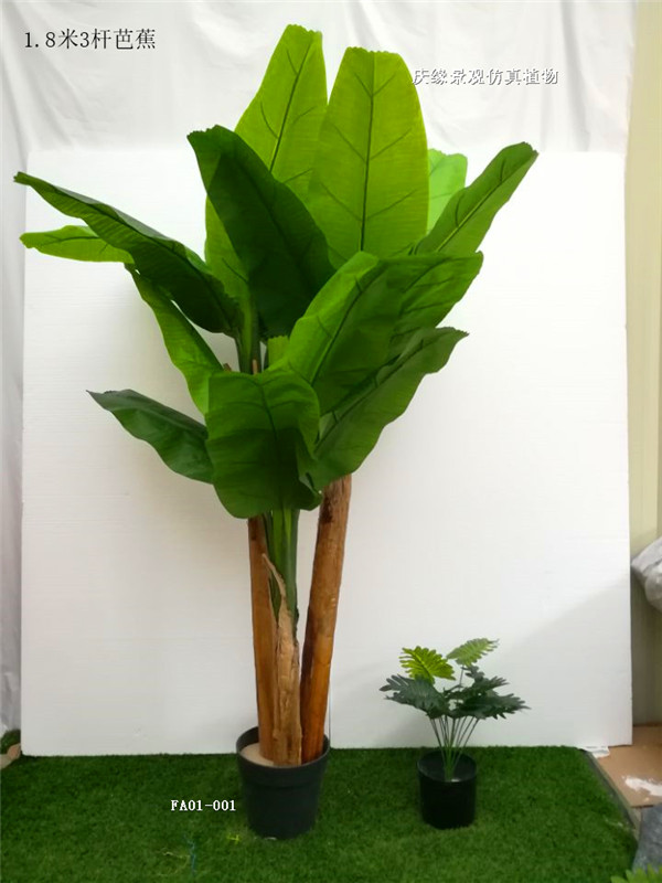 芭蕉手机版芭蕉功效与作用