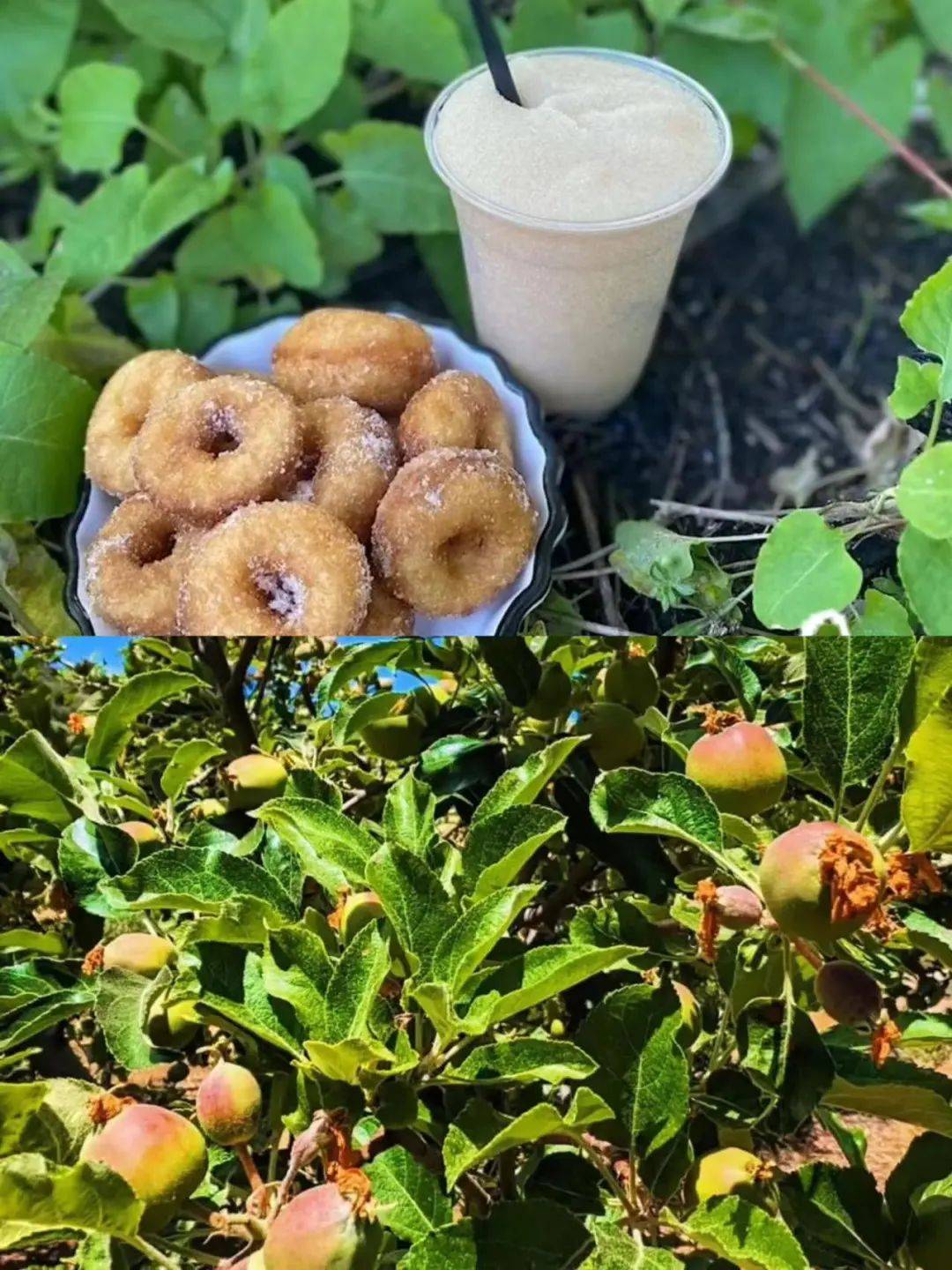 u技能苹果版苹果试玩app赚钱平台-第2张图片-亚星国际官网